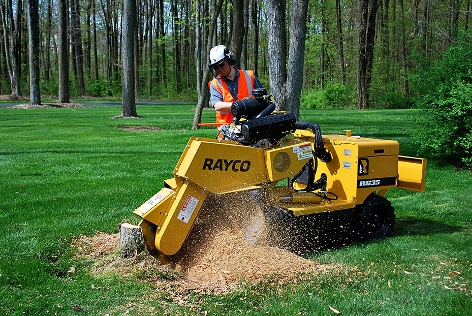 Stump grinding in progress in Cleveland Ohio