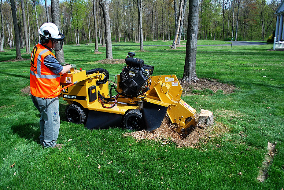 Stump grinder operator removing a tree stump in a residential yard in Cleveland, Ohio