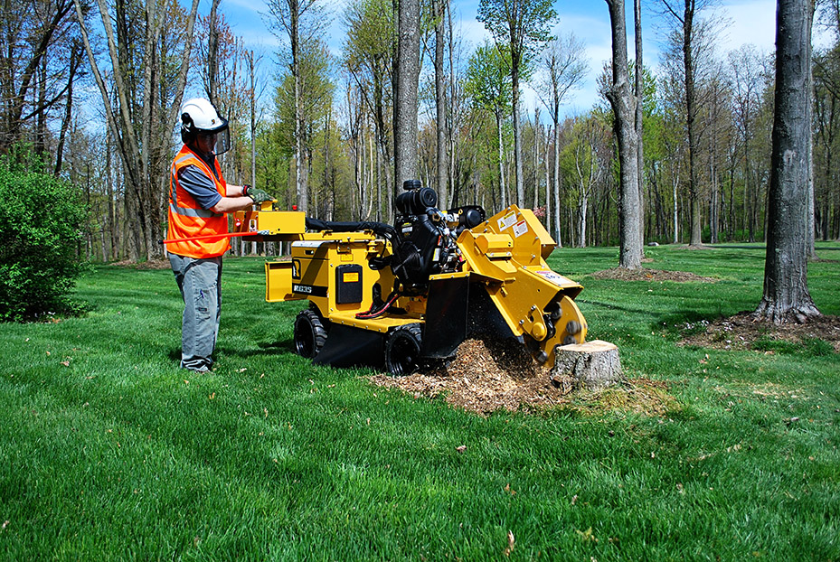 Stump grinder operator working on residential property